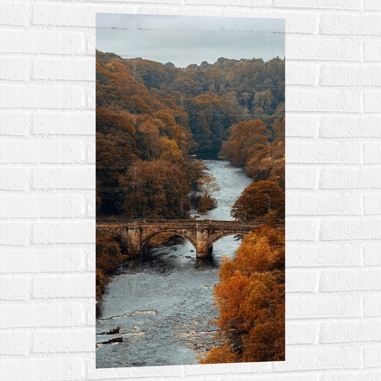 WallClassics - Muursticker - Herfstige Bomen bij Brug over Rivier - 50x100 cm Foto op Muursticker