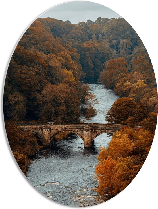 WallClassics - PVC Schuimplaat Ovaal - Herfstige Bomen bij Brug over Rivier - 42x56 cm Foto op Ovaal  (Met Ophangsysteem)