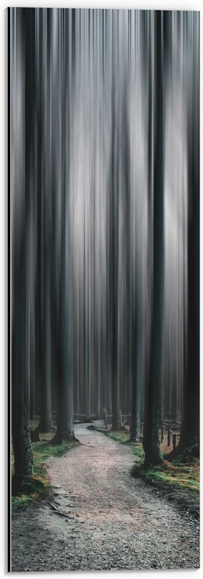 WallClassics - Dibond - Hele Hoge Abstracte Bomen - 20x60 cm Foto op Aluminium (Wanddecoratie van metaal)