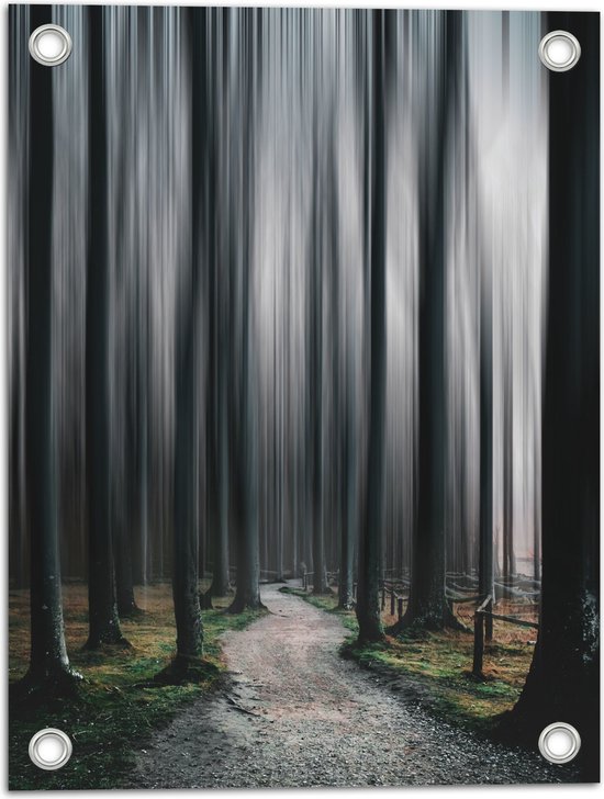 WallClassics - Poster de Jardin - Arbres Abstraits Très Hauts - 30x40 cm Photo sur Poster de Jardin (décoration murale pour l'extérieur et l'intérieur)