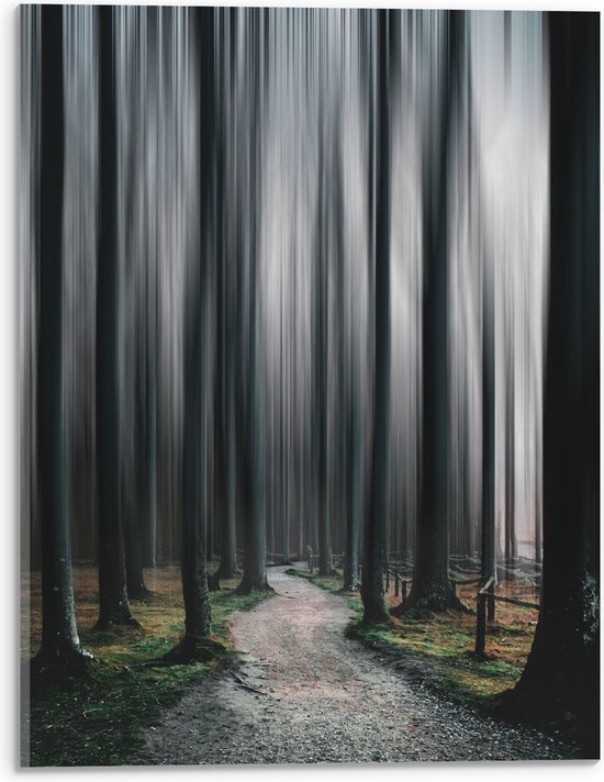 WallClassics - Acrylglas - Hele Hoge Abstracte Bomen - 30x40 cm Foto op Acrylglas (Met Ophangsysteem)