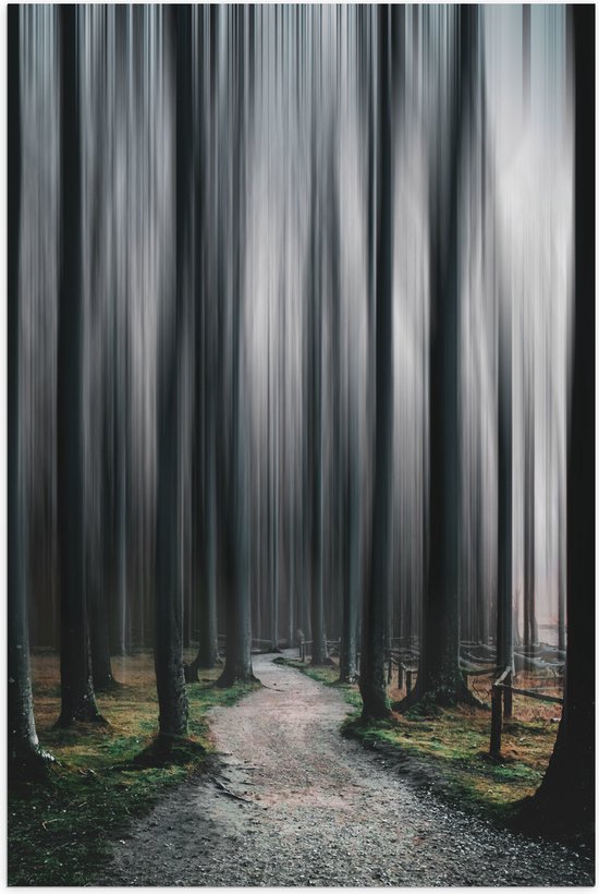 WallClassics - Poster Glanzend – Hele Hoge Abstracte Bomen - 70x105 cm Foto op Posterpapier met Glanzende Afwerking