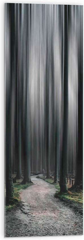 WallClassics - Acrylglas - Hele Hoge Abstracte Bomen - 30x90 cm Foto op Acrylglas (Wanddecoratie op Acrylaat)