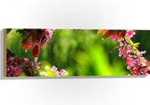 WallClassics - Hout - Roze Bladeren aan Tak - 90x30 cm - 12 mm dik - Foto op Hout (Met Ophangsysteem)