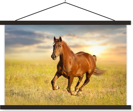 Support pour affiche avec affiche 150 x 100 cm - Affiche scolaire - Cheval - Soleil - Herbe - Animal - Affiche textile - Lattes noires