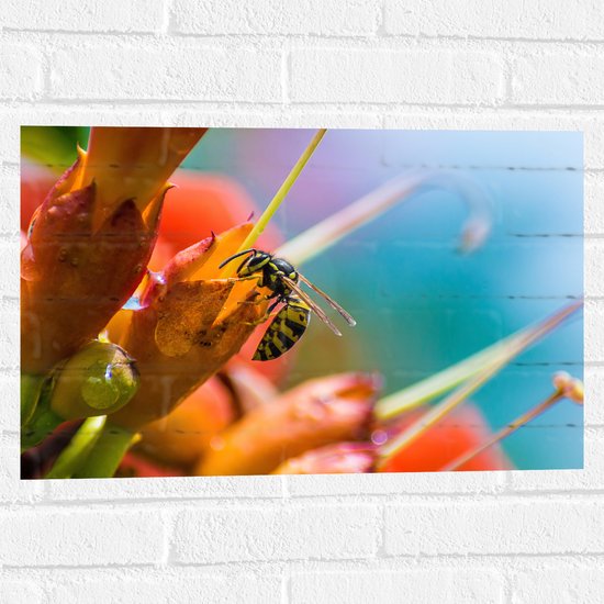 WallClassics - Muursticker - Bij op Rode Bloemen - 60x40 cm Foto op Muursticker