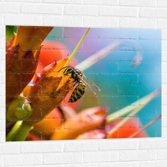 WallClassics - Muursticker - Bij op Rode Bloemen - 100x75 cm Foto op Muursticker