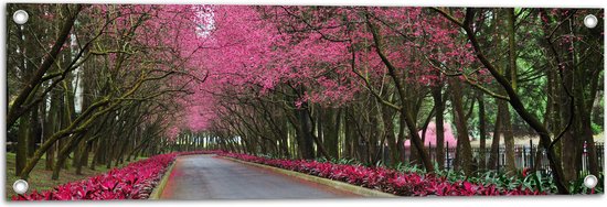 WallClassics - Tuinposter – Roze Bomen over de Weg - 90x30 cm Foto op Tuinposter  (wanddecoratie voor buiten en binnen)