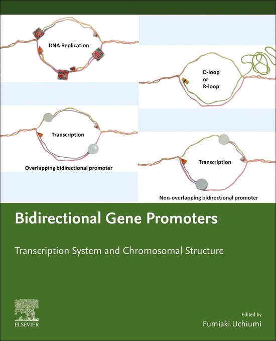 Bidirectional Gene Promoters | 9780128187876 | Fumiaki Uchiumi | Boeken ...