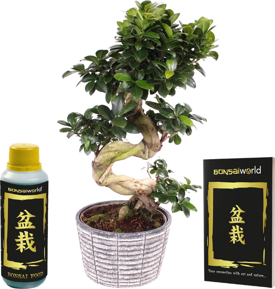 Kunst Bonsai Boom Simulatie nep-ingemaakte bonsaiboom, kunstplant, rode esdoornbladeren en keramische vaas, for thuis, bureau, patio, tuin, podium, kantoor, bruiloft, hotel, feest, café, winkeldecorat