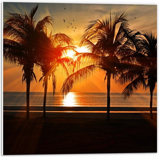 WallClassics - PVC Schuimplaat- Palmbomen op het Strand bij Zonsondergang - 50x50 cm Foto op PVC Schuimplaat