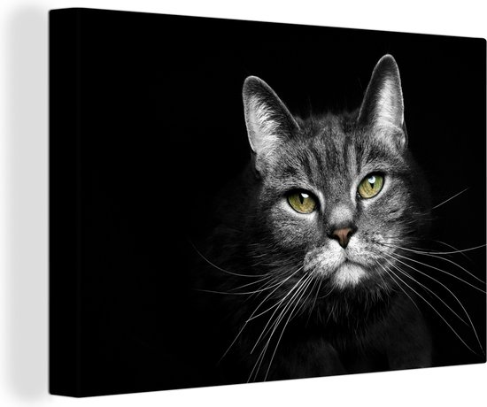 Canvas schilderij - Huisdieren - Kat - Geel - Zwart - Wit - Woonkamer - 90x60 cm - Canvasdoek - Canvas - Muurdecoratie