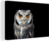 Canvas - Dieren - Uil - Vogel - Oranje - Zwart - Canvasdoek - 90x60 cm - Schilderijen op canvas - Muurdecoratie