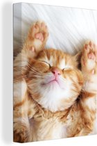 Canvas - Schilderij - Kat - Deken - Poes - Kitten - Katten op canvas - Dieren - Dier - Kamer decoratie - 60x80 cm