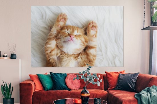 Canvas - Schilderij - Kat - Deken - Poes - Kitten - Katten op canvas -  Dieren - Dier -... | bol.com