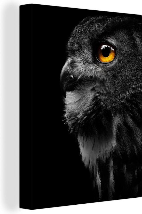 Peinture sur toile - Hibou - Vogel - Zwart - Peintures sur toile - Toile animaux - Toile canvas - 60x80 cm - Décoration murale - Salon