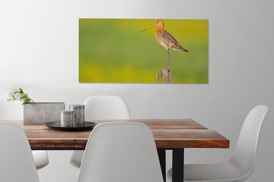 Toile - Tableau - Vogel - Animaux - Barge à queue noire - Perche - Vert - Peintures sur toile - Photo sur toile - 80x40 cm - Décoration murale - Salon