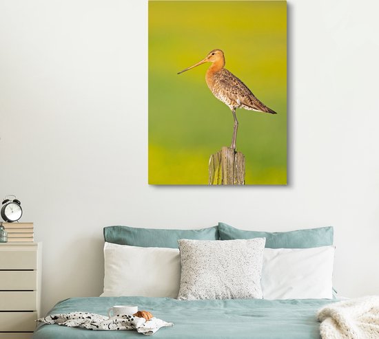 Toile - Tableau - Vogel - Animaux - Barge à queue noire - Perche - Vert - Peintures sur toile - Photo sur toile - 120x160 cm - Décoration murale - Salon