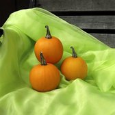 Pompoen zaden - Ball Orange