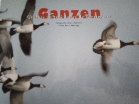 Ganzen