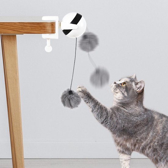 Elektrische Katten Speeltje - Speelgoed Katten - Automatische Kattenhengel  | bol.com