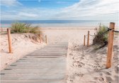 Fotobehangkoning - Behang - Vliesbehang - Fotobehang Pad naar de Zee - Strand - 350 x 245 cm
