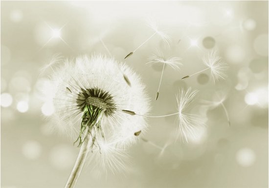 Foto: 