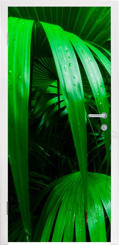 Deursticker Palmbladen in de jungle - 90x205 cm - Deurposter