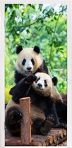 Deursticker Panda - Brug - Natuur - 90x205 cm - Deurposter