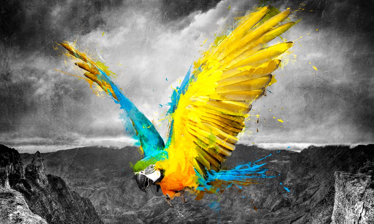 Fotobehang - Exotic parrot.