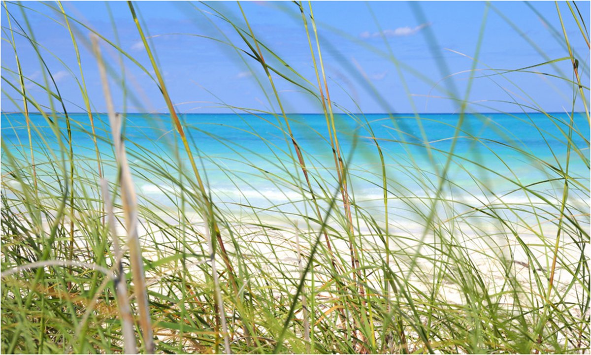 Fotobehang - Tropical journey.