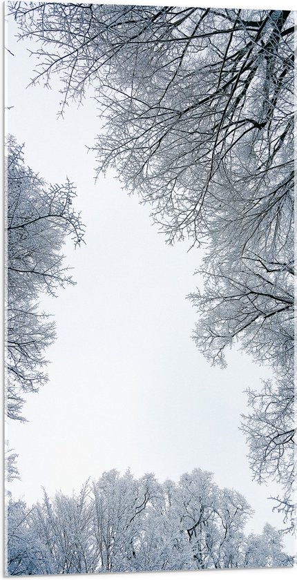 WallClassics - Acrylglas - Onderaanzicht van Sneeuwtakken - 50x100 cm Foto op Acrylglas (Wanddecoratie op Acrylaat)