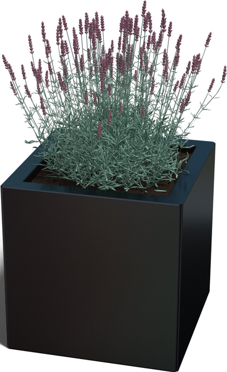 Gepoedercoat staal - plantenbak - Vierkant - 40x40x60cm - Zwart - Zonder bodem - MySteel