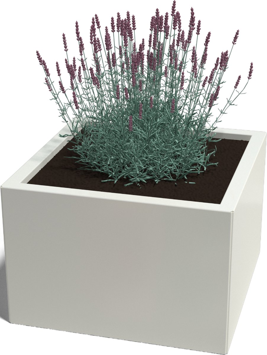 Gepoedercoat staal - plantenbak - Vierkant - 60x60x30cm - Zwart - Zonder bodem - MySteel