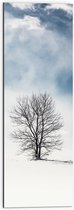 WallClassics - Dibond - Kale Eenzame Boom in Sneeuwlandschap - 30x90 cm Foto op Aluminium (Wanddecoratie van metaal)