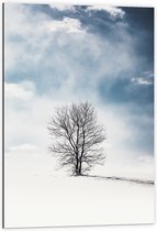 WallClassics - Dibond - Kale Eenzame Boom in Sneeuwlandschap - 60x90 cm Foto op Aluminium (Wanddecoratie van metaal)