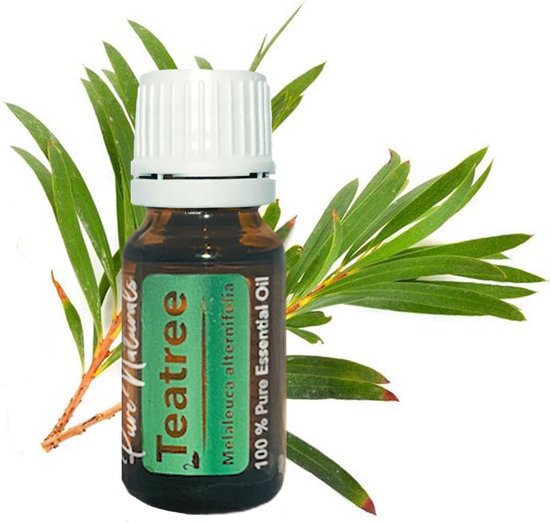 Healing - Tea-Tree 10 ml - etherische olie