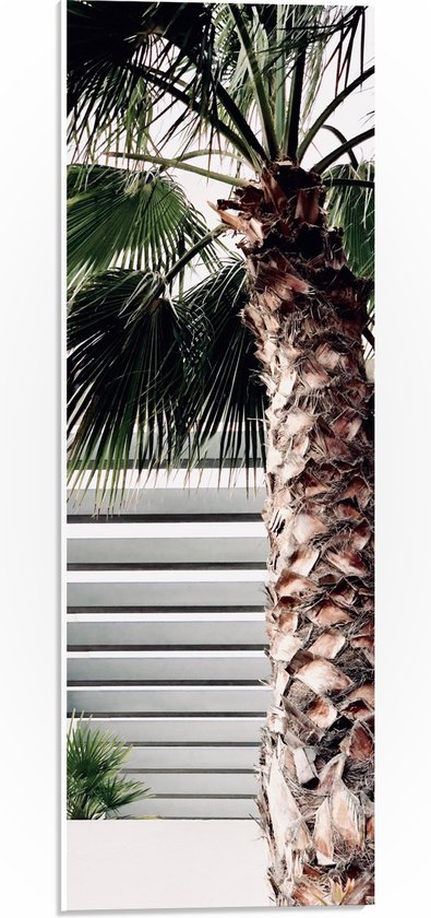 WallClassics - PVC Schuimplaat- Palmboom voor Wit Gebouw - 20x60 cm Foto op PVC Schuimplaat