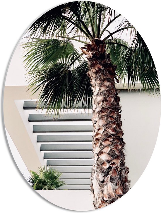 WallClassics - Plaque Mousse PVC Ovale - Palmier pour Bâtiment Wit - 42x56 cm Photo sur Ovale (Avec Système d'accrochage)