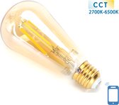 Ampoule à filament E27 6W WiFi + Bluetooth CCT 2700K-6500K | Lampe intelligente ST64 - blanc chaud - filament LED blanc lumière du jour ~ 806 Lumen - verre ambré - 230 Volt
