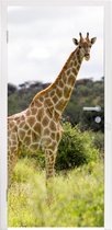 Deursticker Giraf - Planten - Dier - 90x215 cm - Deurposter