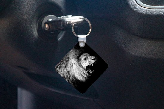Porte-clés - Cadeaux - Lion - Portrait - Noir - Wit - Animaux - Plastique