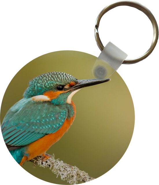 Sleutelhanger Ijsvogel Dieren Vogel Plastic Rond Uitdeelcadeautjes Bol 