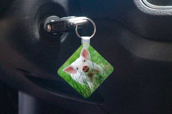 Porte-clés - Cadeaux - Cochon - Animaux - Porcelet - Plastique