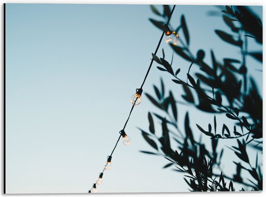 WallClassics - Dibond - Lampslinger bij Groene Takken - 40x30 cm Foto op Aluminium (Met Ophangsysteem)