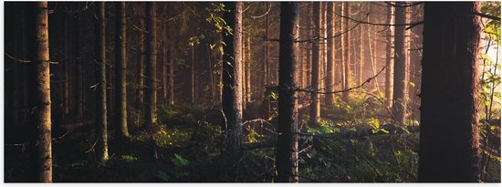 WallClassics - Poster Glanzend – Bos in de Schemer van Zonsondergang - 90x30 cm Foto op Posterpapier met Glanzende Afwerking