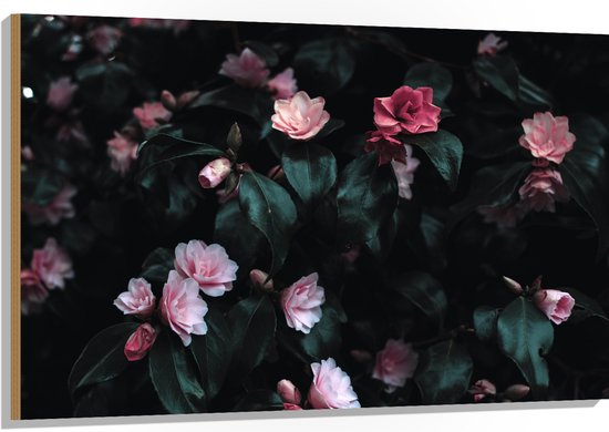 WallClassics - Hout - Close up van Roze Rozenstruik - 120x80 cm - 12 mm dik - Foto op Hout (Met Ophangsysteem)