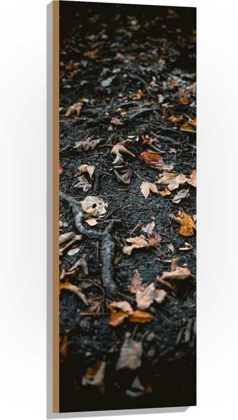 WallClassics - Hout - Herfstbladeren en Takken - 40x120 cm - 12 mm dik - Foto op Hout (Met Ophangsysteem)