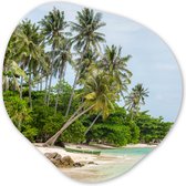 Organische Wanddecoratie - Kunststof Muurdecoratie- Organisch Schilderij - Palmbomen - Strand - Zomer - Tropisch- 90x90 cm - Organische spiegel vorm op kunststof