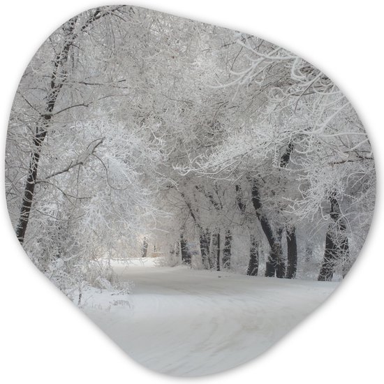 Organische Wanddecoratie - Kunststof Muurdecoratie- Organisch Schilderij - Bomen - Sneeuw - Winter- 90x90 cm - Organische spiegel vorm op kunststof - Kerstdecoratie in huis - Kerstmis